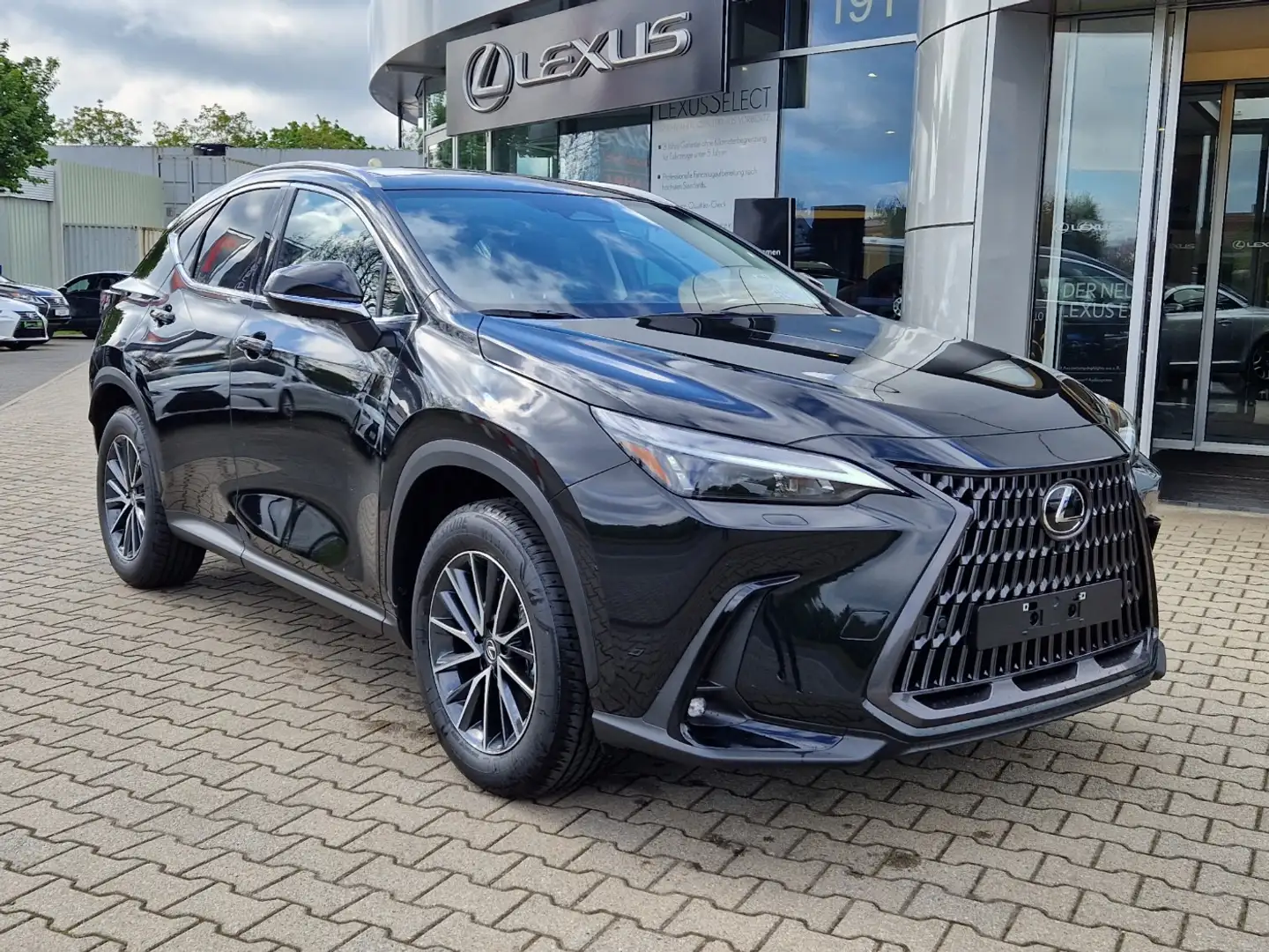 Lexus NX 350h Executive Line FLA HUD ParkAss. SpurH Grau - 2