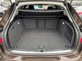 Audi A4 allroad quattro 2.0 TDI*Bi-Xenon*NAVI*Panoram Braun - thumbnail 33