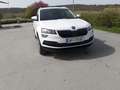 Skoda Karoq 1,0 TSI Ambition Blanco - thumbnail 7