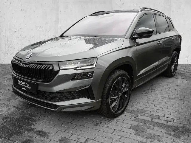 Skoda Karoq view 2