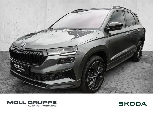 2024 Skoda Karoq in Grey for sale