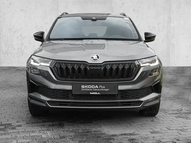 Skoda Karoq view 3
