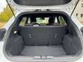 Ford Puma 1.0 Hybrid ST-Line Design Kamera+SHZ+PDC Blanc - thumbnail 14