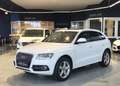 Audi Q5 2.0TFSI Quattro AHK Standh. 3*S-Line+Glasdach Weiß - thumbnail 1