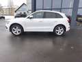 Audi Q5 2.0TFSI Quattro AHK Standh. 3*S-Line+Glasdach Weiß - thumbnail 23