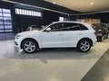Audi Q5 2.0TFSI Quattro AHK Standh. 3*S-Line+Glasdach Weiß - thumbnail 2