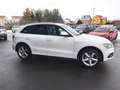 Audi Q5 2.0TFSI Quattro AHK Standh. 3*S-Line+Glasdach Weiß - thumbnail 21