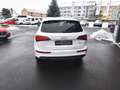Audi Q5 2.0TFSI Quattro AHK Standh. 3*S-Line+Glasdach Weiß - thumbnail 20