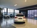 Audi Q5 2.0TFSI Quattro AHK Standh. 3*S-Line+Glasdach Weiß - thumbnail 4