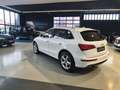 Audi Q5 2.0TFSI Quattro AHK Standh. 3*S-Line+Glasdach Weiß - thumbnail 3