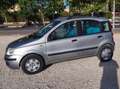 Fiat Panda Panda 1.2 Dynamic Dynamic Plateado - thumbnail 2