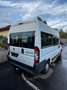 Fiat Ducato - thumbnail 6