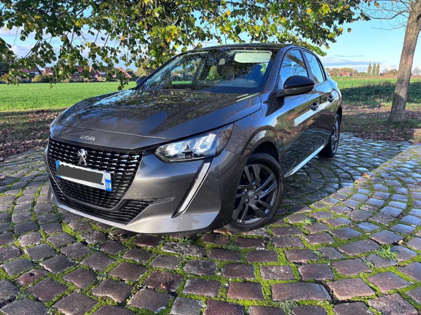 Peugeot 208 BLUEHDI 100 S&S BVM6 ACTIVE BUSINESS R Gris - 2