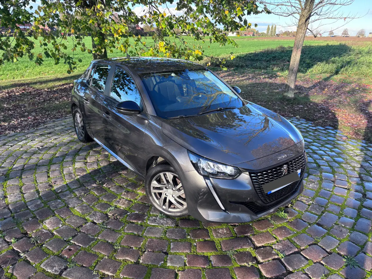 Peugeot 208 BLUEHDI 100 S\u0026S BVM6 ACTIVE BUSINES