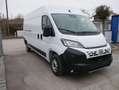 Fiat Ducato L3(5998 mm)H2(2524 mm) *3-SITZER*PDC HI.*TEMPOMAT* Weiß - thumbnail 15