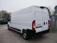 Fiat Ducato L3(5998 mm)H2(2524 mm) *3-SITZER*PDC HI.*TEMPOMAT* Weiß - thumbnail 5