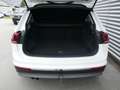 Volkswagen Tiguan Highline TDI SCR 4MOTION DSG Blanco - thumbnail 13