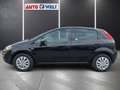 Fiat Punto 1.2 Young Klimaaut. PDC USB AUX Schwarz - thumbnail 6