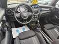 MINI Cooper S Cabrio 2.0 Automatik Bleu - thumbnail 15