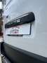 Renault Master H2L2 Automatisch 12 Maanden Garantie Wit - thumbnail 27