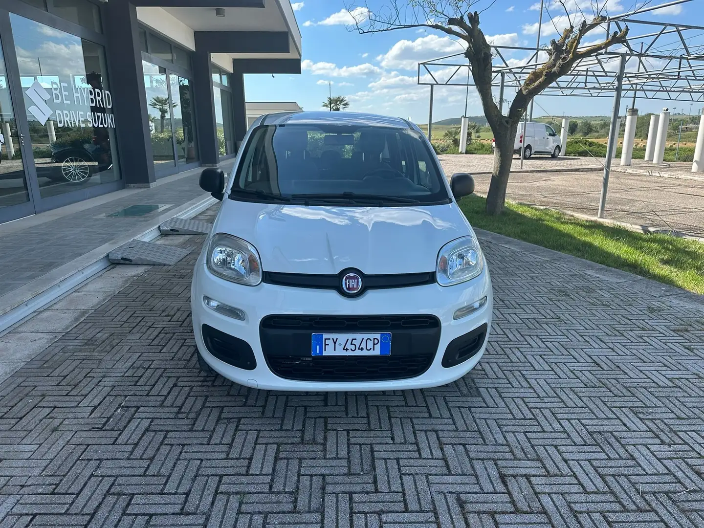 Fiat Panda Panda 1.2 Easy s Bianco - 2