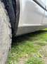 Nissan Cherry 1.0DX Silber - thumbnail 9