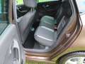 Volkswagen Polo V Life TDI 66KW (90PS)  "Toffee-Braun Met." Braun - thumbnail 12