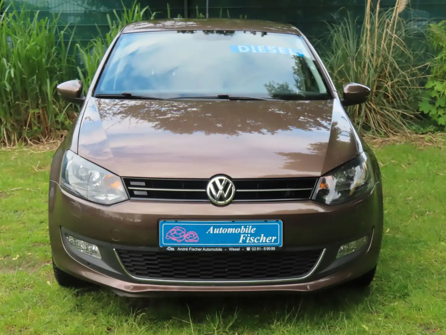 Volkswagen Polo V Life TDI 66KW (90PS)  "Toffee-Braun Met." Braun - 2