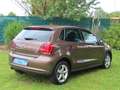 Volkswagen Polo V Life TDI 66KW (90PS)  "Toffee-Braun Met." Braun - thumbnail 8