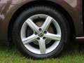 Volkswagen Polo V Life TDI 66KW (90PS)  "Toffee-Braun Met." Braun - thumbnail 18