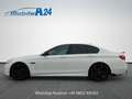 BMW 550 d xDrive Sport ACC HEAD-UP GSD MEMORY Weiß - thumbnail 3