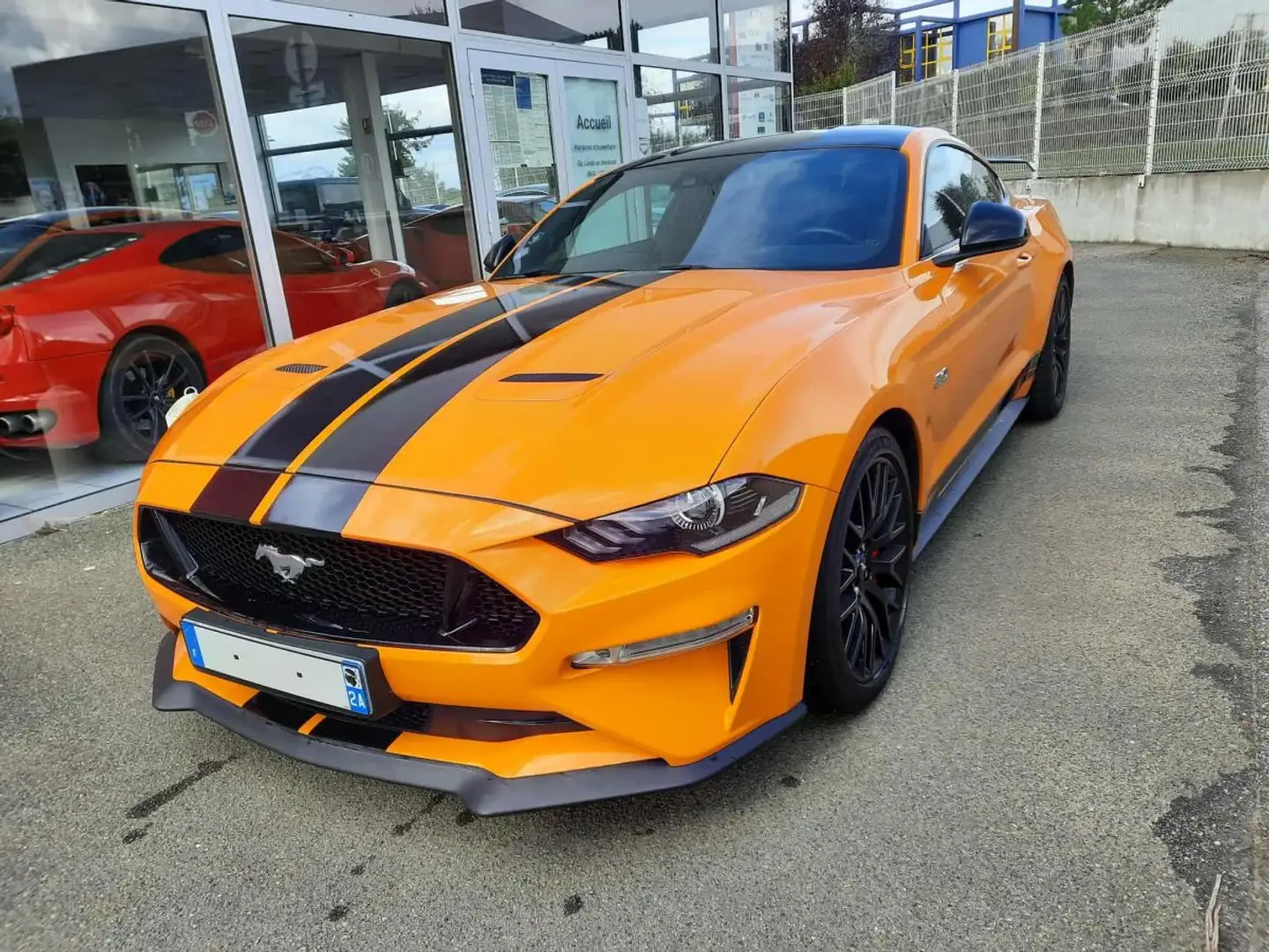 Ford Mustang VI (2) FASTBACK 5.0 V8 GT BV6 Золотистый - 2