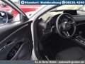 Mazda CX-30 2.5L e-SKYACTIV G Automatik Homura Argent - thumbnail 14