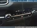 Mazda CX-30 2.5L e-SKYACTIV G Automatik Homura Argent - thumbnail 16