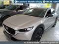 Mazda CX-30 2.5L e-SKYACTIV G Automatik Homura Argent - thumbnail 8