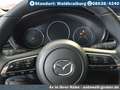 Mazda CX-30 2.5L e-SKYACTIV G Automatik Homura Argent - thumbnail 15