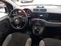 Fiat Panda City Life Hybrid 1.0 Gse 51kw (70CV) Rojo - thumbnail 7