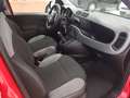 Fiat Panda City Life Hybrid 1.0 Gse 51kw (70CV) Rojo - thumbnail 8