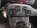 Fiat Panda City Life Hybrid 1.0 Gse 51kw (70CV) Rojo - thumbnail 12
