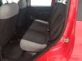 Fiat Panda City Life Hybrid 1.0 Gse 51kw (70CV) Rojo - thumbnail 5