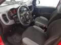 Fiat Panda City Life Hybrid 1.0 Gse 51kw (70CV) Rojo - thumbnail 9