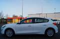 Ford Focus Lim. *Radio*Bluetooth*Klima*Allwetter*Lane Blanco - thumbnail 5