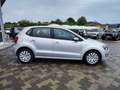 Volkswagen Polo 1.6 TDI DPF 5 porte Comf. BlueMotion Technology Silber - thumbnail 13