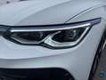 Volkswagen Golf R R 2.0 TSI DSG*Matrix*ACC*Navi*Privacy* Blanc - thumbnail 6