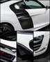 Audi R8 GT V10 5.2 560 Immat France 1 OF 333 966E-MOIS Bianco - thumbnail 7