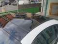 Porsche 911 992 Carrera S Coupe 3.0  SCARICHI ASSE P STERZANTE Blanc - thumbnail 24