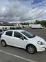 Fiat Punto Evo Punto 1.2 8V Young II *Klima*Allwetterreifen Neu* Weiß - thumbnail 20