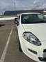 Fiat Punto Evo Punto 1.2 8V Young II *Klima*Allwetterreifen Neu* Weiß - thumbnail 4