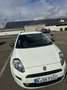 Fiat Punto Evo Punto 1.2 8V Young II *Klima*Allwetterreifen Neu* Weiß - thumbnail 3