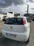 Fiat Punto Evo Punto 1.2 8V Young II *Klima*Allwetterreifen Neu* Weiß - thumbnail 12
